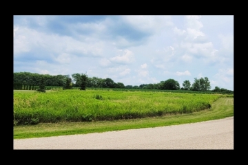 Spacious Buildable Lot in Flagg Estates